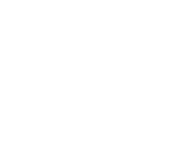 people-group-solid 1