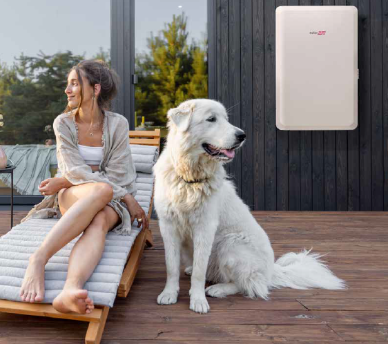 solaredge-battery-image-3-dog